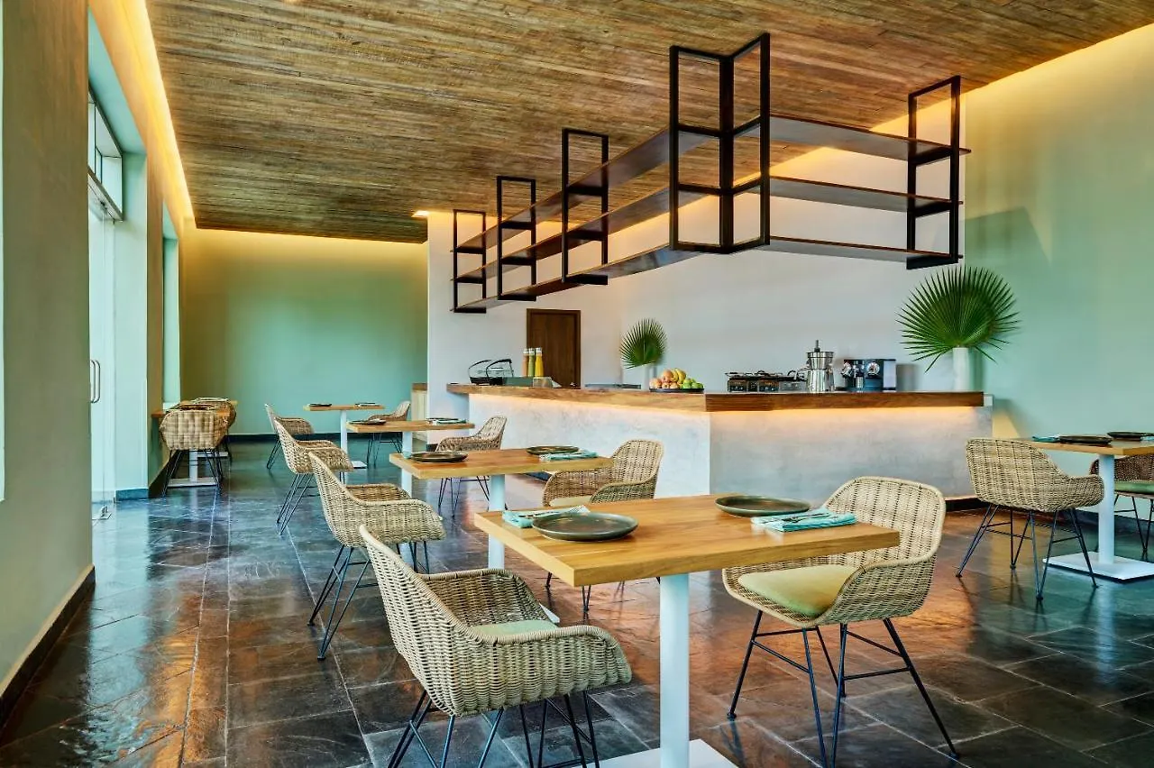 Hyatt Ziva Riviera Maya All-Inclusive (Adults Only) Пуэрто-Морелос